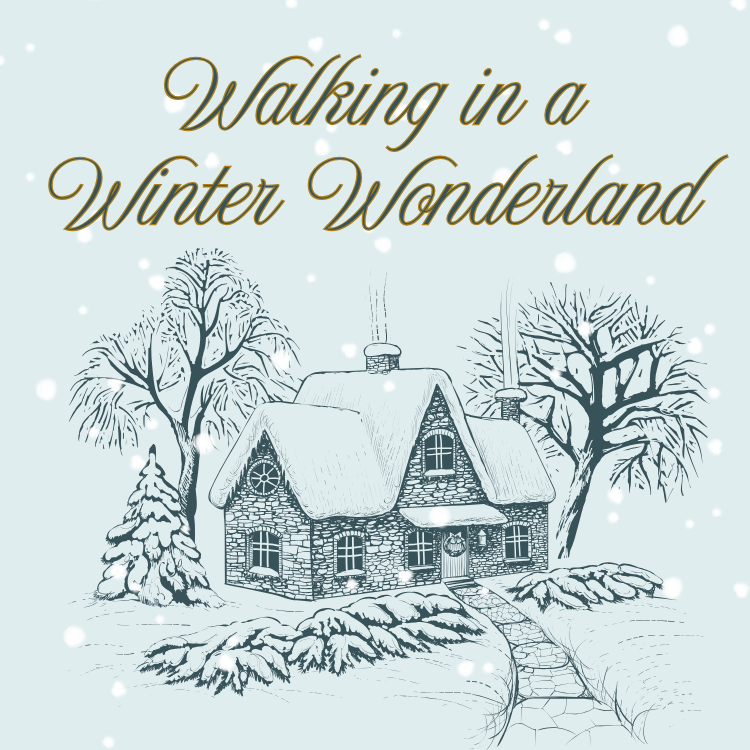 Winter Wonderland - Set of 3