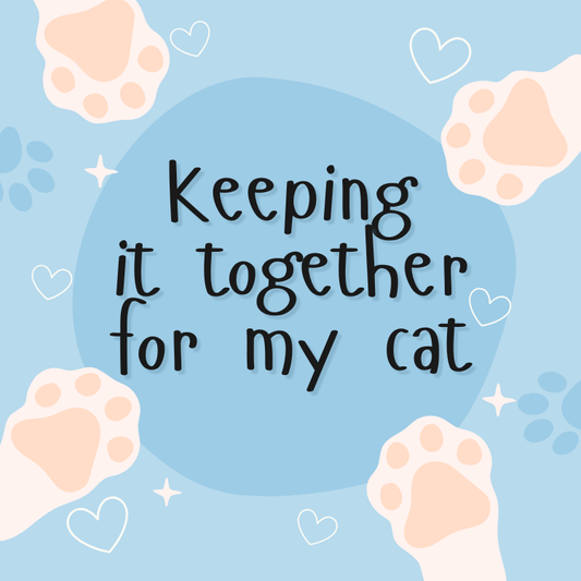 For My Cat