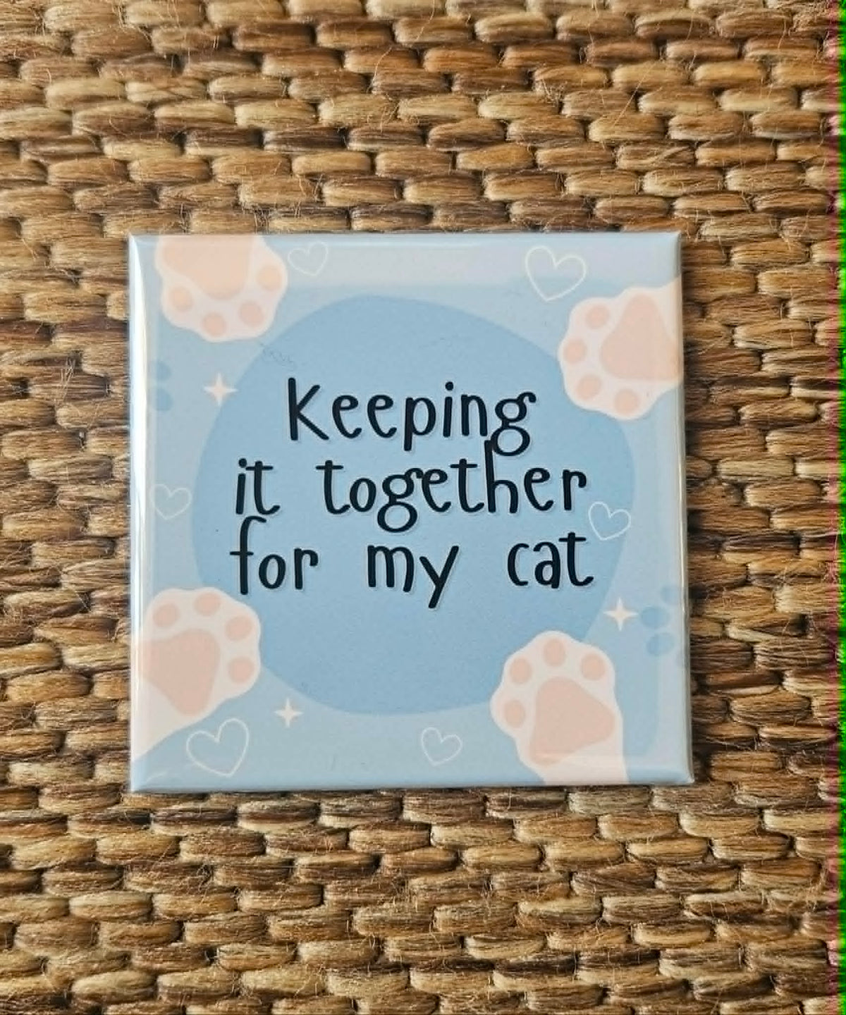 For My Cat
