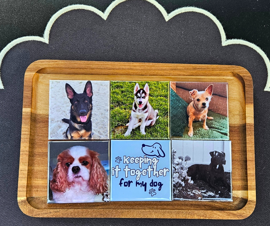 Set of 6 Custom Magnets
