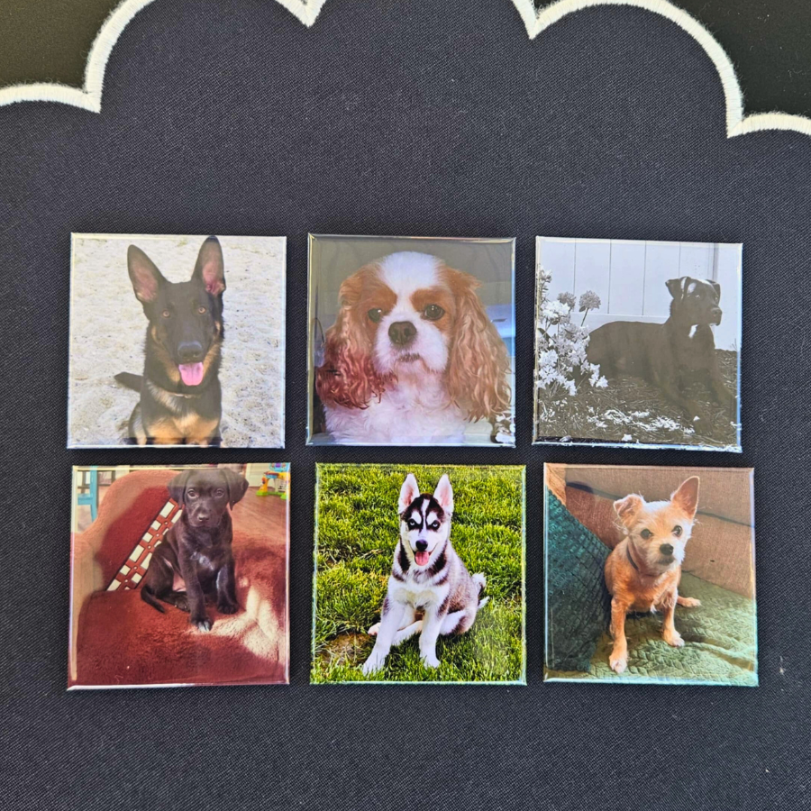 Custom Photo Magnets